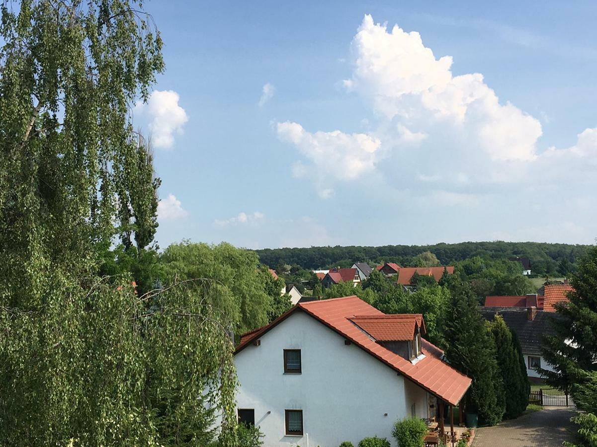 Ferienwohnung Zur Himmelsscheibe Ziegelroda Exterior photo